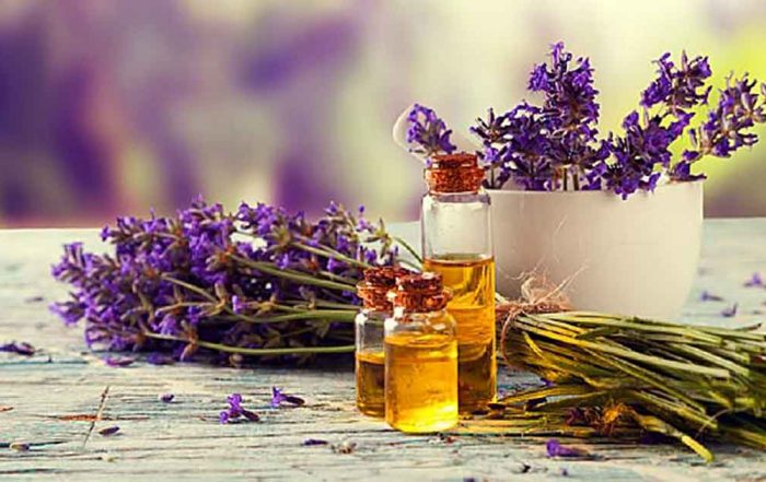 Lavanda 1200