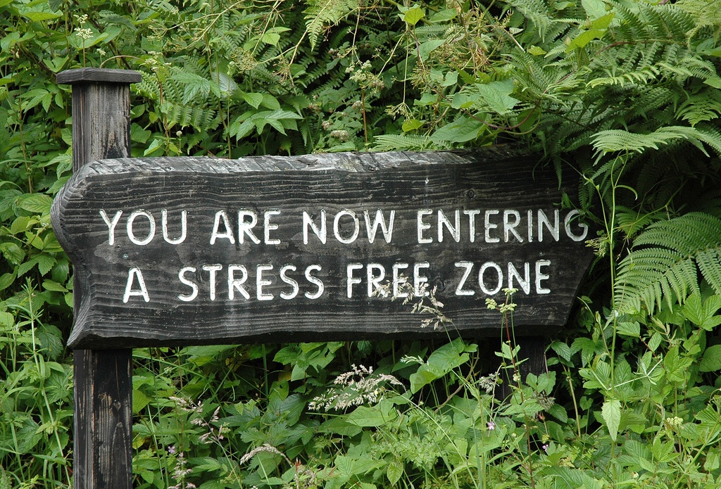 Cilj vođenih meditacija s eteričnim uljima - oslobodite se stresa